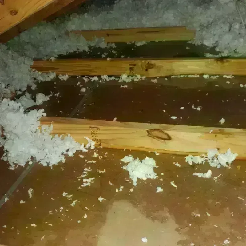 Attic Water Damage in Ward, AR