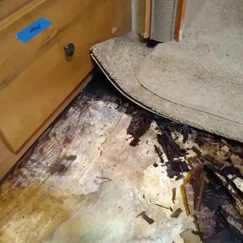 Wood Floor Water Damage in Ward, AR